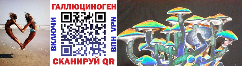 Псилоцибиновые грибы GOLDEN TEACHER  где продают наркотики  Шагонар 
